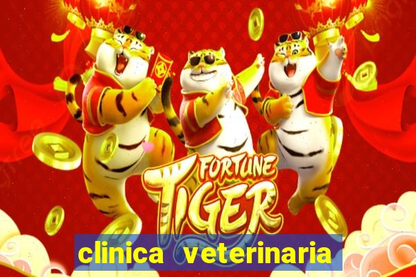 clinica veterinaria cuidar betim